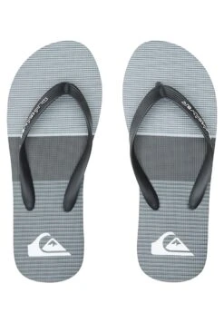 Quiksilver MOLOKAI TIJUANA - Kapcie - Grey -Sklep Toni Pons 4bba36eaca0b47aebb4369d5d9153d8f