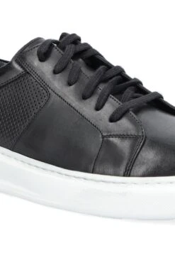 GREIG - Sneakersy Niskie - Black -Sklep Toni Pons 6c32561e7892490fb7c5a6455352a59d